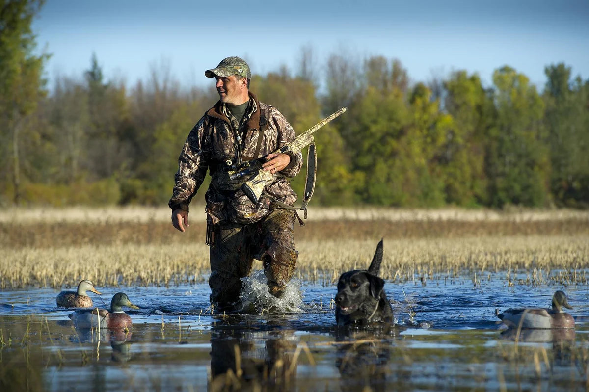 Where the Flyway Opens